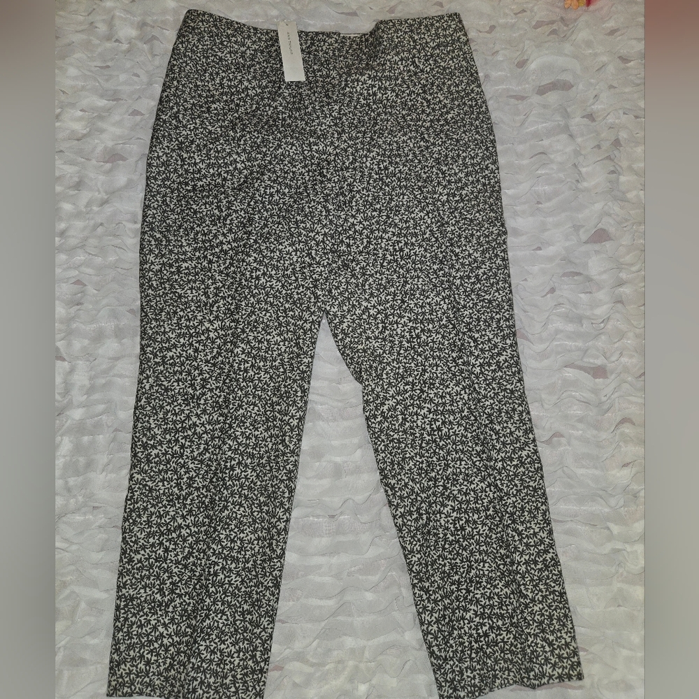 Ann Taylor Black and White Printed Straight Leg Pants